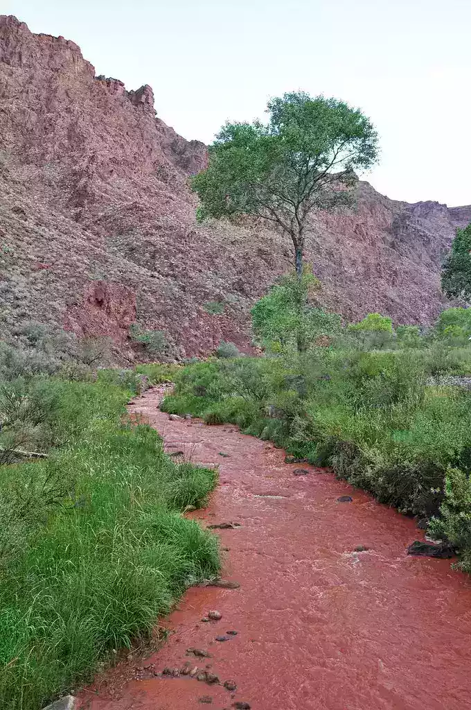 Grand Canyon Flash Flood: What Visitors Need to Know