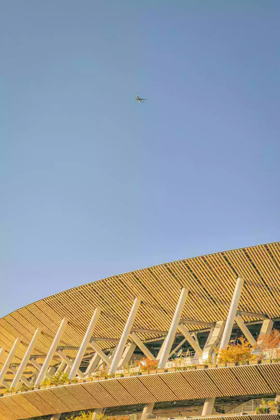Stadium Flypast Safety: Why a Low Pass Divides Opinion