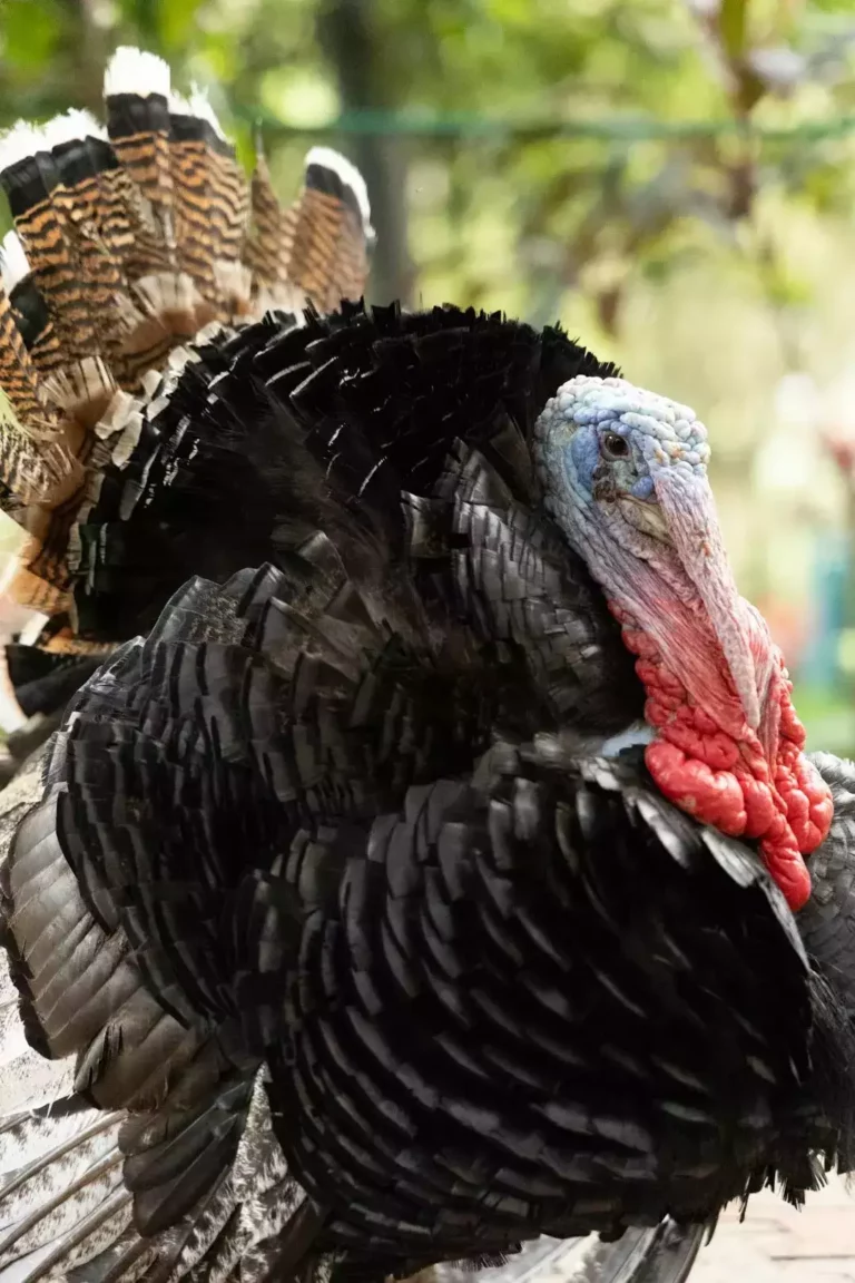 Atama ve görevden alma kararları Resmi Gazete’de