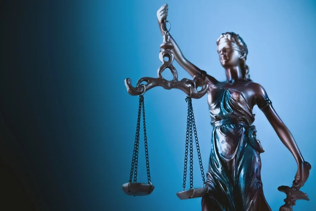 Judicial Reform for Faster Access to Justice: What a
