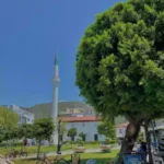 Marmaris'te eğitim semineri ve farkındalık yürüyüşü