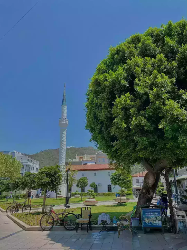 Marmaris'te eğitim semineri ve farkındalık yürüyüşü